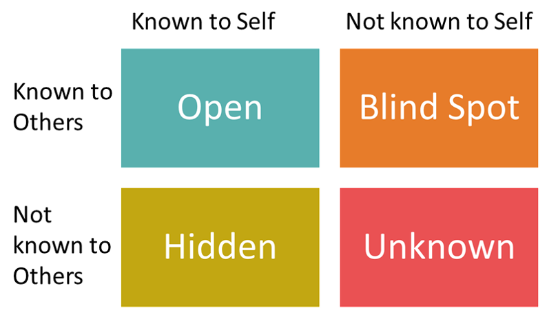 Using the Johari Window to really get to know yourself