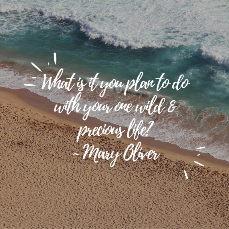 The Summer Day by Mary Oliver